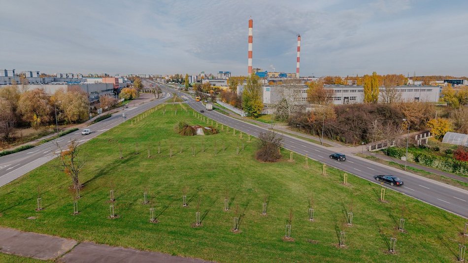 Łódź. Kolejne drzewa w centrum Łodzi!
