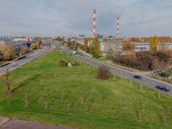 Łódź. Kolejne drzewa w centrum Łodzi!