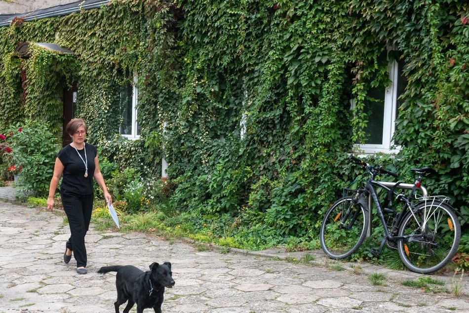 Łódź. Mikrogranty dla seniorów 2026 w Łodzi. Można już składać wnioski! [SZCZEGÓŁY]