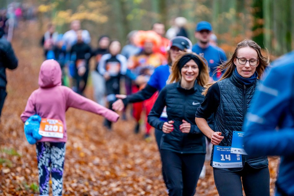 Cookie Run w Lesie Łagiewnickim w Łodzi