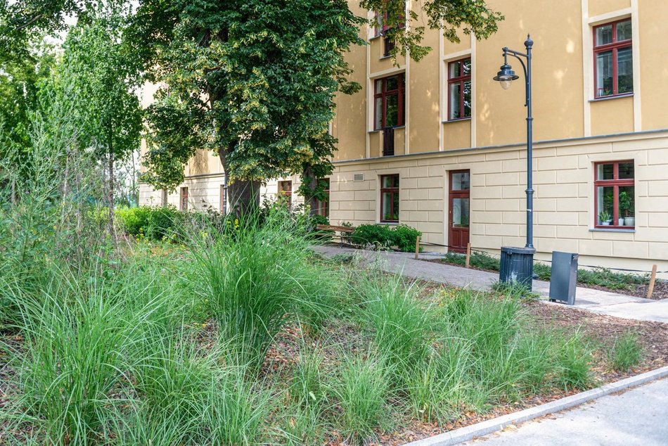 Wracamy na Mielczarskiego w Łodzi po remoncie. Ulica zachwyca zielenią i... spokojem!