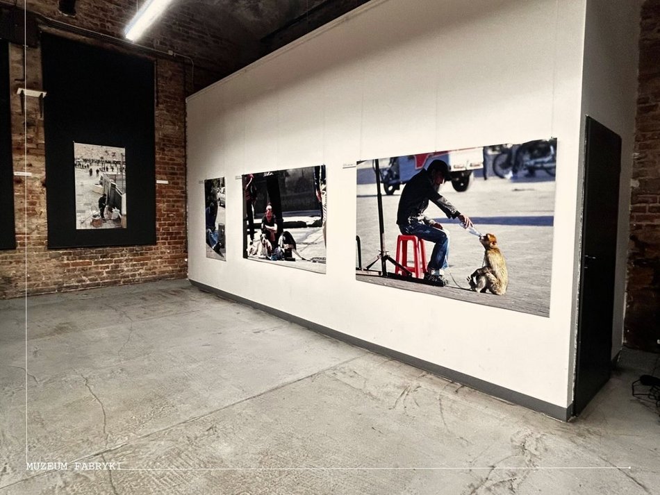 Łódź. MONDO CANE – Wrażliwość miasta 2