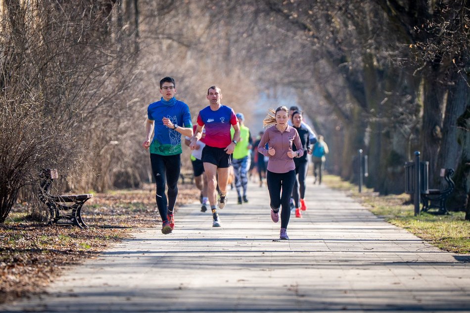 Łódź. Parkrun w Parku Poniatowskiego w Łodzi. Brałeś udział w biegu? Znajdź się na zdjęciach!
