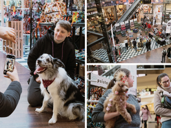 Łódź. Psi Targ w Manufakturze