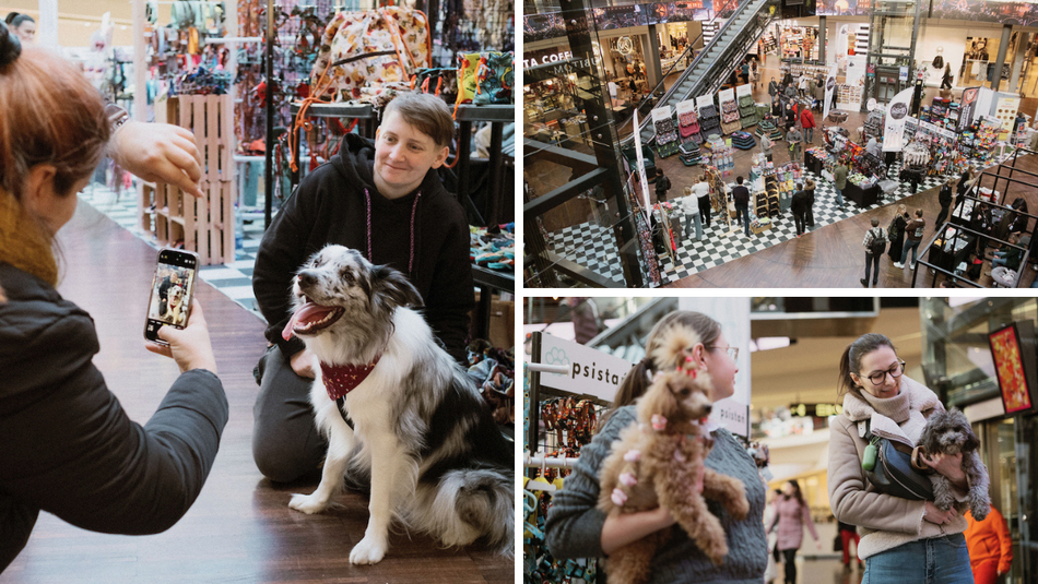 Łódź. Psi Targ w Manufakturze