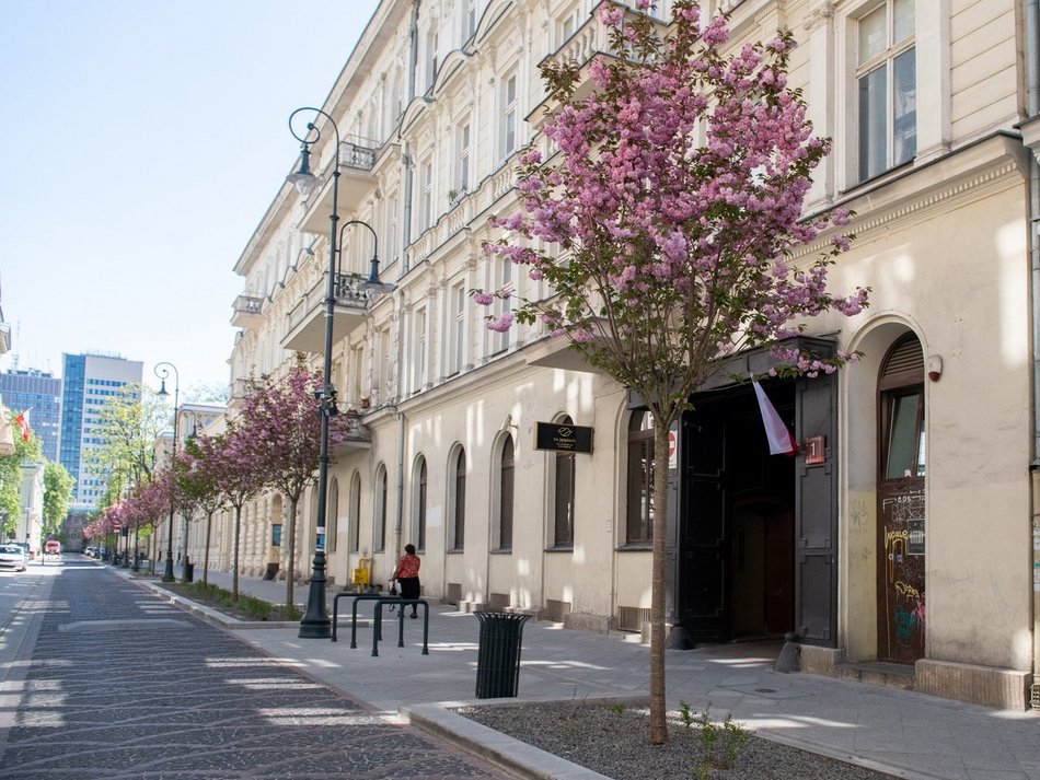 Łódź. Woonerf na ul. Moniuszki w Łodzi