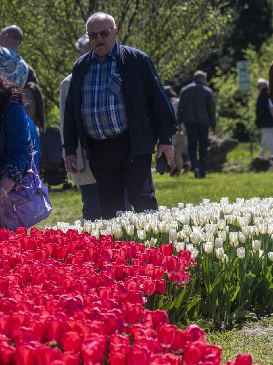 Ogród Botaniczny w Łodzi. Łodzianie na wyjątkowych zdjęciach z okazji 600. Urodzin! [ZDJĘCIA]