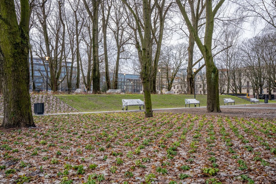 Park Staromiejski na finiszu remontu