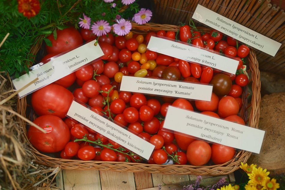 Szukasz pomysłu na weekend? Przyjdź na wystawę w Ogrodzie Botanicznym w Łodzi!