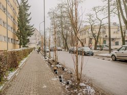 Łódź. Jeszcze więcej zieleni w mieście z ŁBO