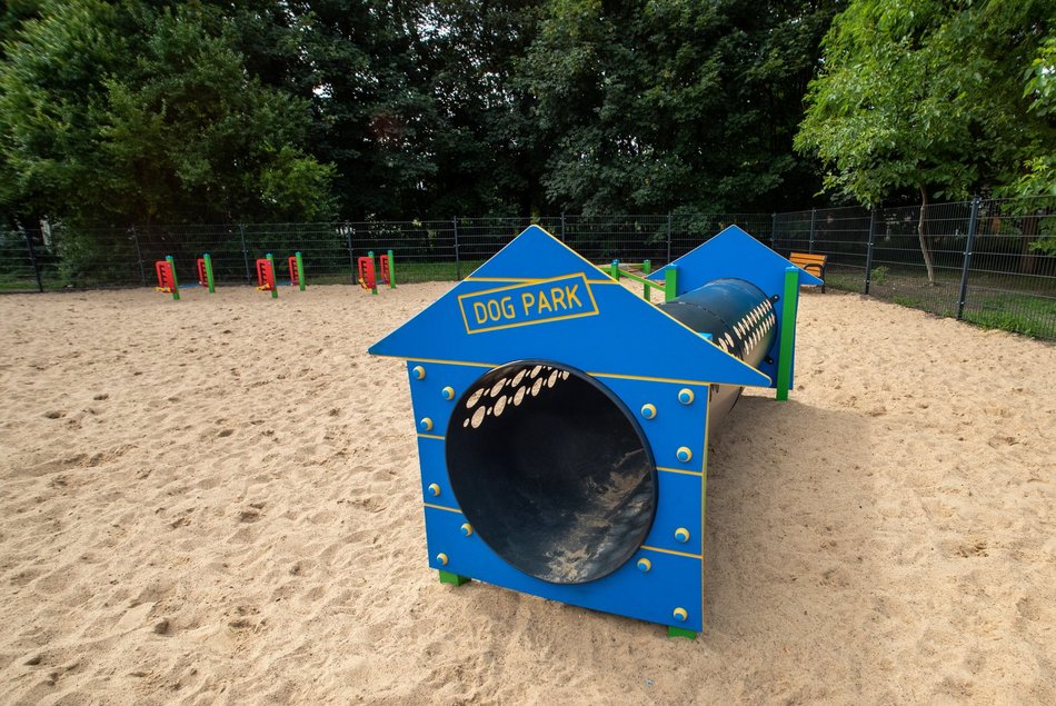 Łódź. Z czworonogiem na plac zabaw? W Łodzi powstaną kolejne psie parki