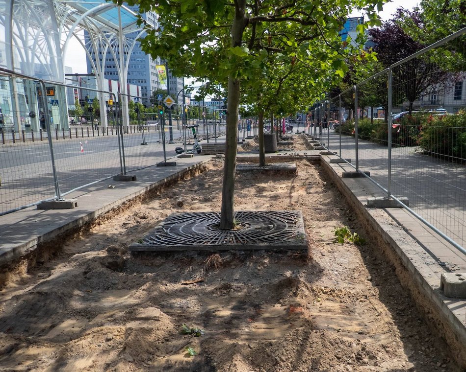 Łódź. Stajnia Jednorożców w Łodzi cała w zieleni! Zamiast betonu będą drzewa i barwne rabaty!