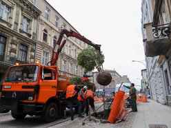 Sadzenie drzew w centrum Łodzi