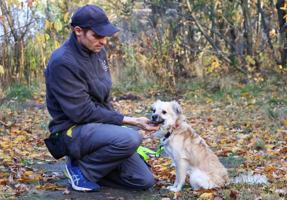 Amik to strachliwy słodziak. Obok tego pyszczka ze schroniska w Łodzi nie przejdziesz obojętnie