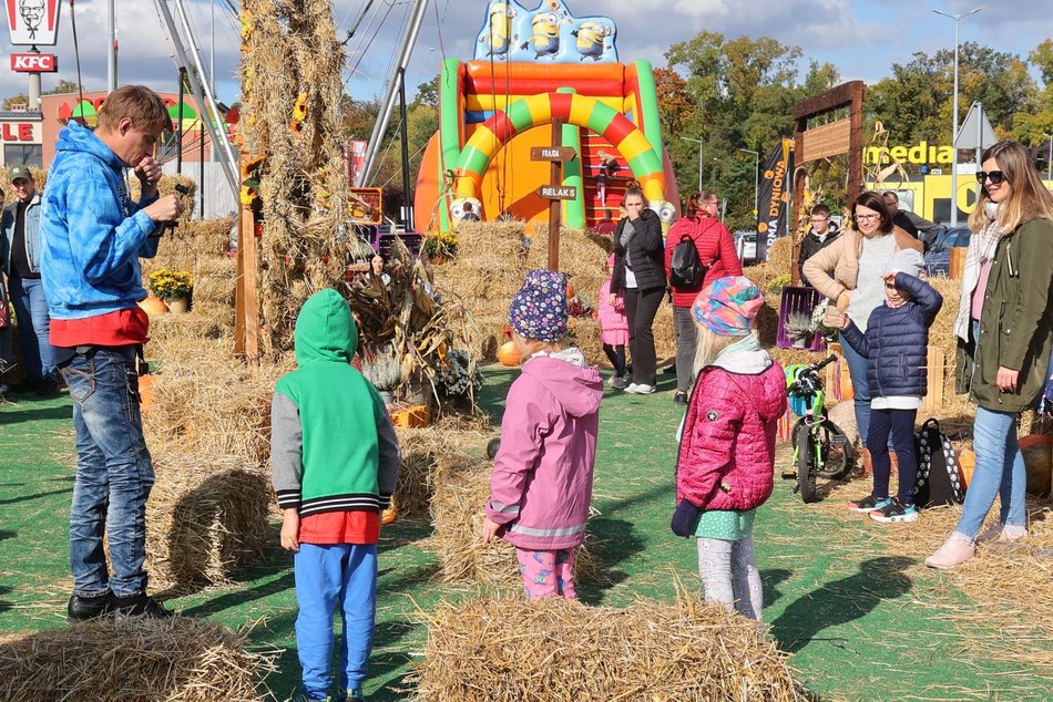 Farma Dyniowa w Pasażu Łódzkim