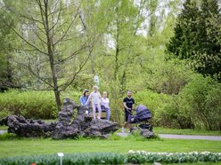 Łódź. Jak ma się rozwijać Ogród Botaniczny w Łodzi? Poznaj harmonogram konsultacji