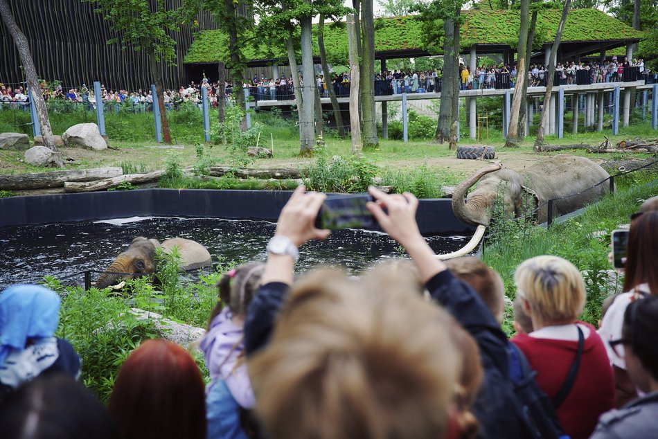 Łódź. Orientarium Zoo Łódź