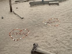 Łódź. Słonie żegnają się z Orientarium Zoo Łódź. Przyjdź, zobacz je jeszcze raz i pożegnaj!