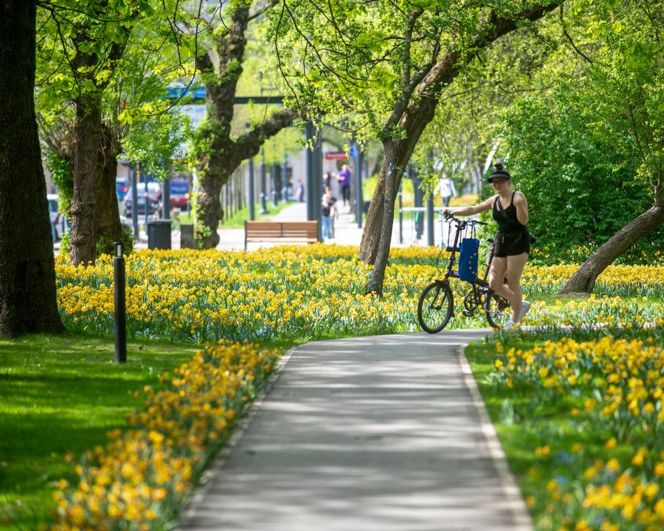 Łódź. Park Staromiejski w Łodzi