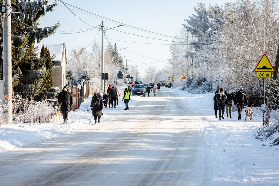 Łódź. Psy ze schroniska w Łodzi na spacerze
