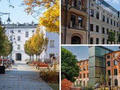 Łódź. Sienkiewicza zmieniła się nie do poznania!