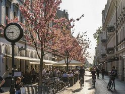 Łódź. Woonerfy w Łodzi bez tajemnic! Wybierz się na wyjątkowy spacer