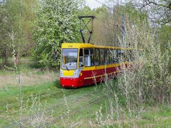 Łódź. Zielona trasa W-Z w Łodzi. Ponad 2 tysiące drzew kwitnie od Retkini po Olechów!