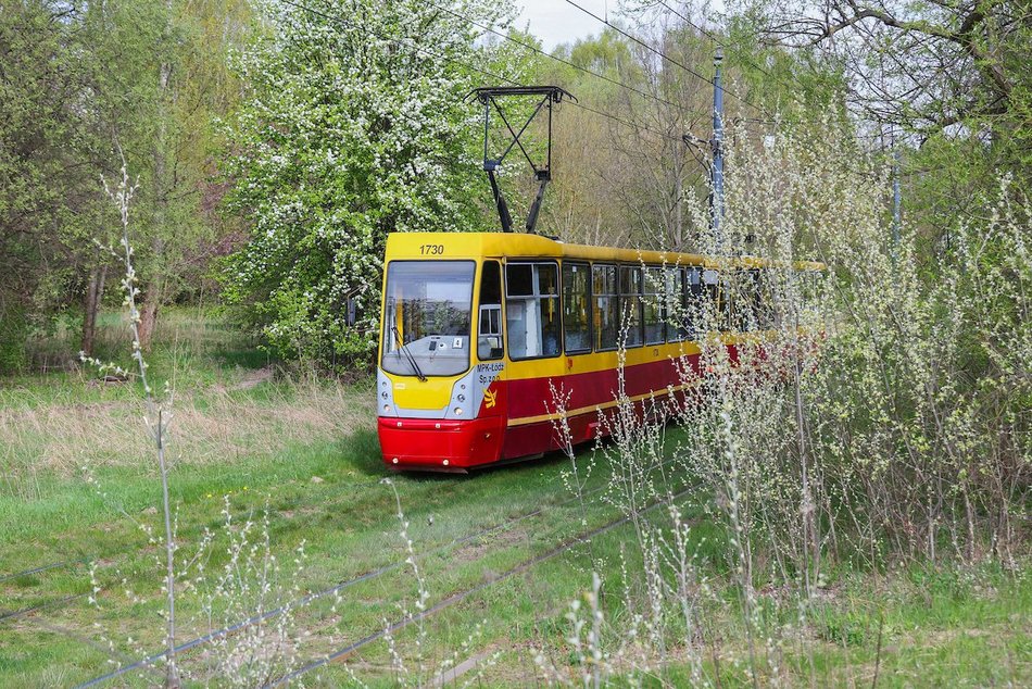 Łódź. Zielona trasa W-Z w Łodzi. Ponad 2 tysiące drzew kwitnie od Retkini po Olechów!