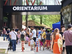 Plac Wolności i Orientarium Zoo Łódź z prestiżowymi nagrodami