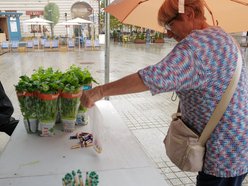 Światowy Dzień Recyklingu Baterii w Łodzi