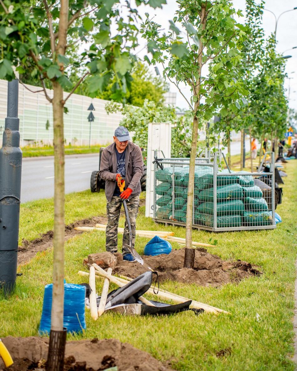 Łódź. Budżet Obywatelski Łódź 2025. Więcej zieleni przy Włókniarzy Łodzi
