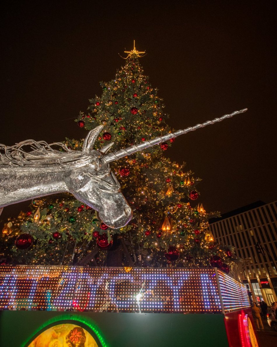 Ялинка на Piotrkowskiej вже готова до свят