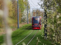 MPK Łódź na majówkę. Zmiany rozkładów