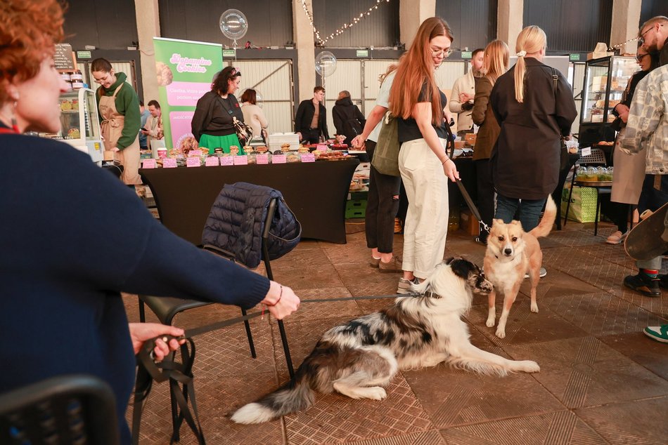 Tłumy na Słodkim Targu w Fuzji w Łodzi. Byłeś? odszukaj się w galerii!