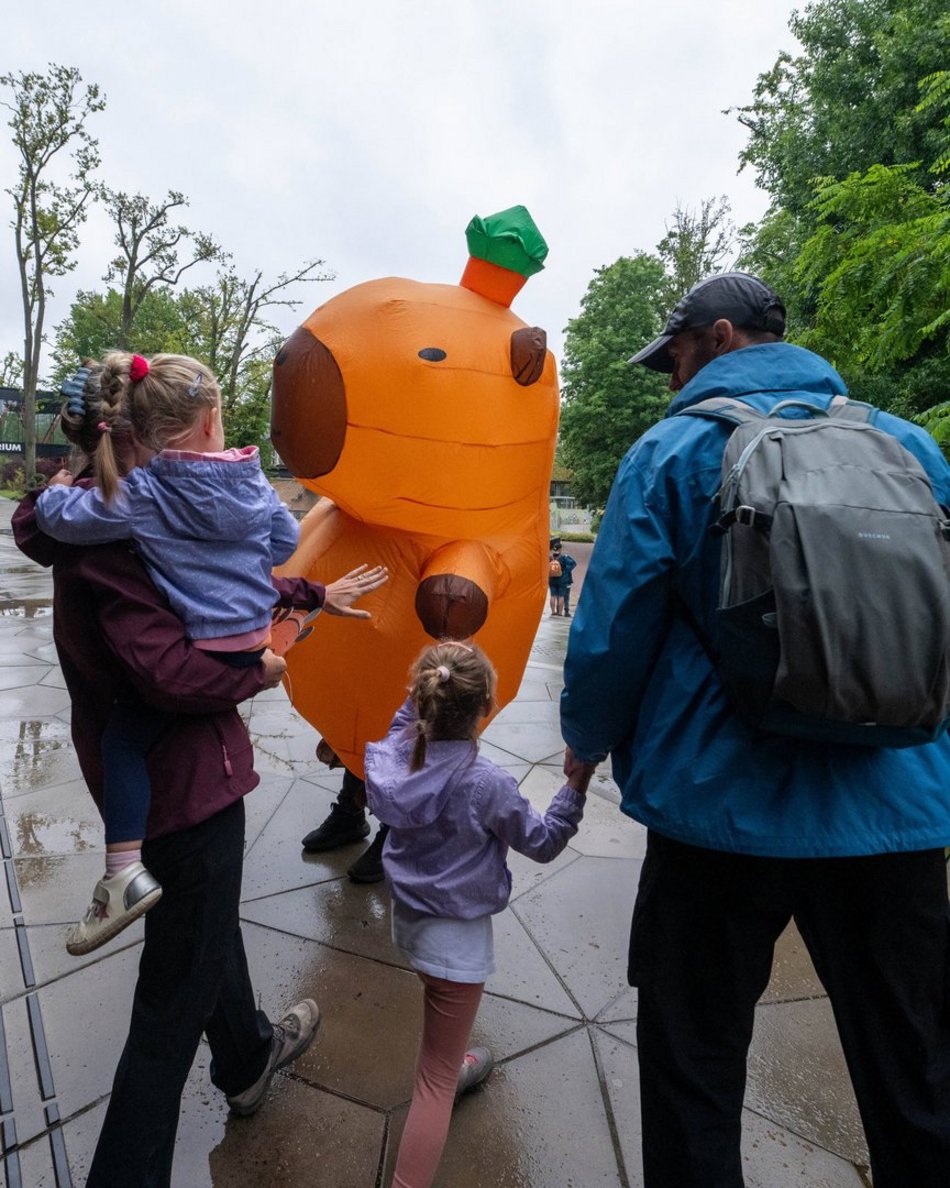 Łódź. Zlot Fanów Kapibary w Orientarium Zoo Łódź. Świetna frekwencja mimo niepogody