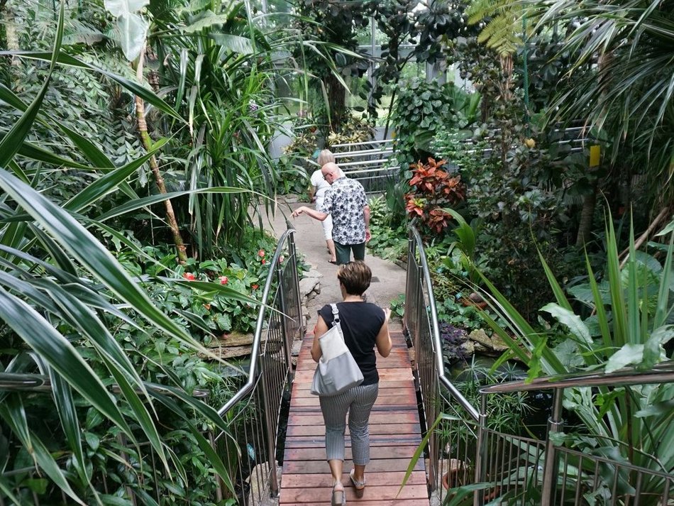 Łódź. Palmiarnia Łódzka