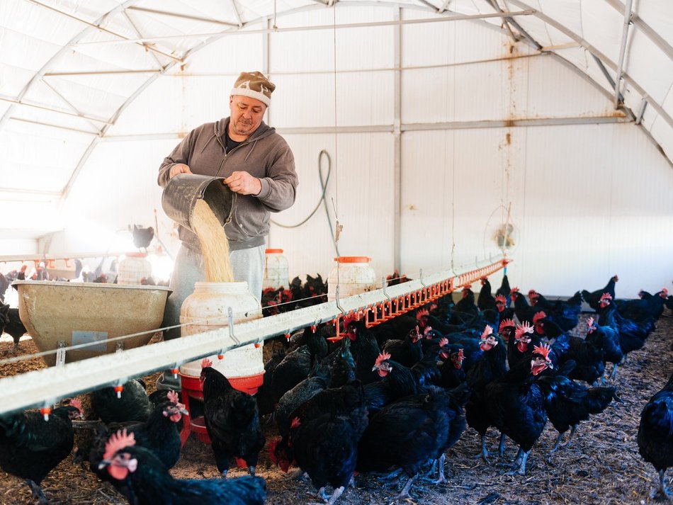 Łódź. De Heus (Holandia) - sektor logistyczny (centrum logistyczne dla producenta pasz)