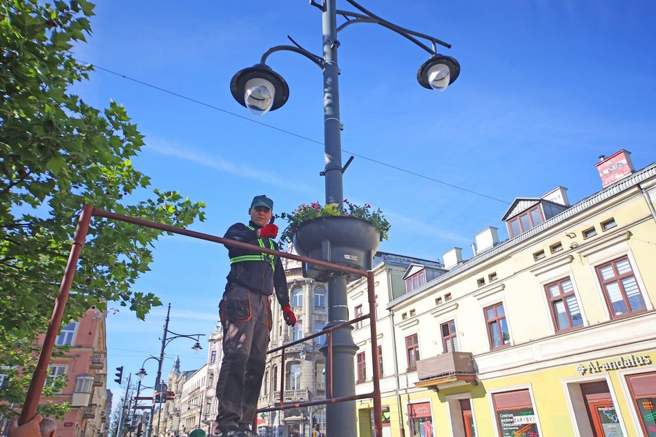 Łódź. Wieszanie kwiatów na ul. Piotrkowskiej w Łodzi