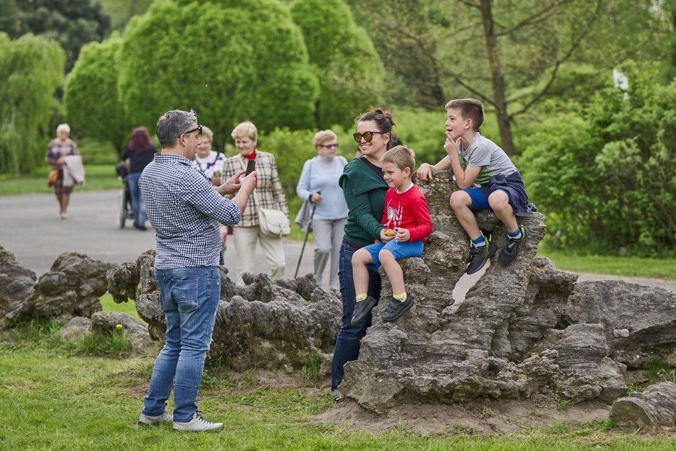 Kwitnące tulipany w Ogrodzie Botanicznym w Łodzi