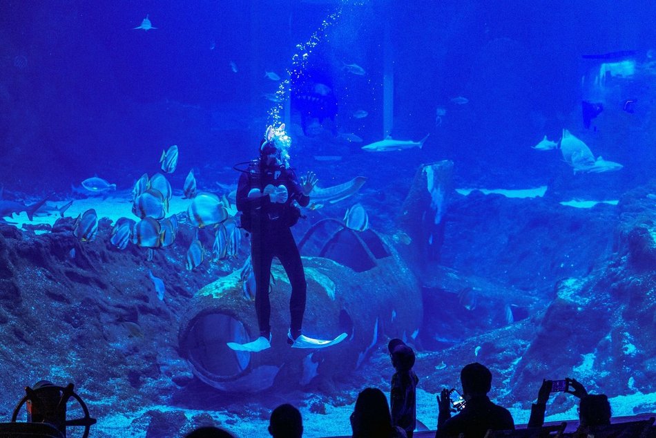 Co robić w długi weekend w Łodzi? Piknik w Manufakturze, Bieg Niepodległości i więcej