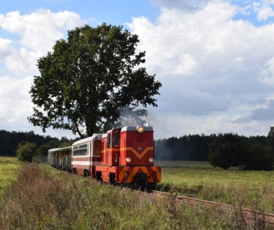 Jednodniowe wycieczki pociągiem z Łodzi