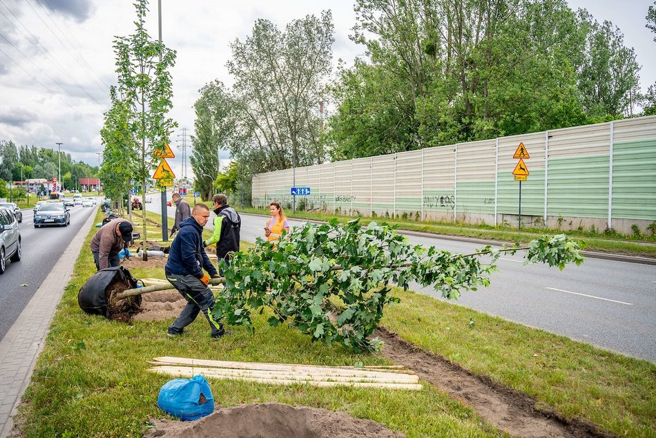 Łódź. Budżet Obywatelski Łódź 2025. Więcej zieleni przy Włókniarzy Łodzi