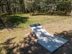 Łódź. Ekologiczne cmentarze w Łodzi. Z szacunkiem dla natury i pamięci