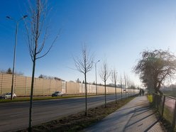 Łódź. Zielona metamorfoza Włókniarzy