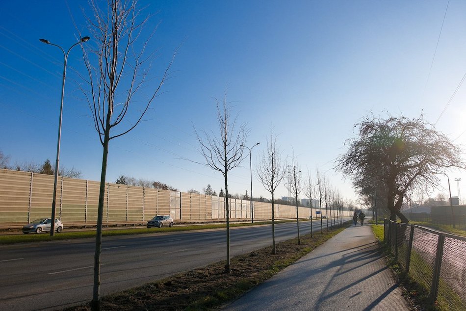 Łódź. Zielona metamorfoza Włókniarzy