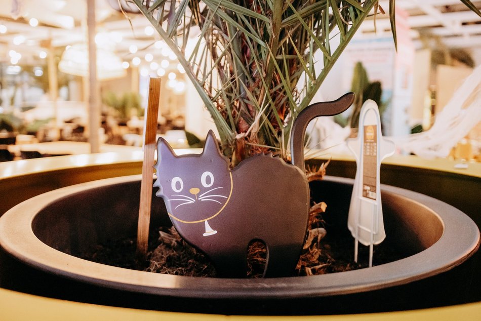 Łódź. Halloween w Aquaparku Fala. Upiorna muzyka, niespodzianki i pływający kościotrup!