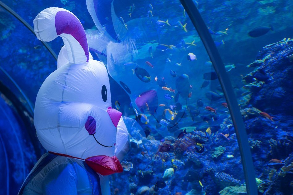 Łódź. Wielkanocny zając w Orientarium Zoo Łódź