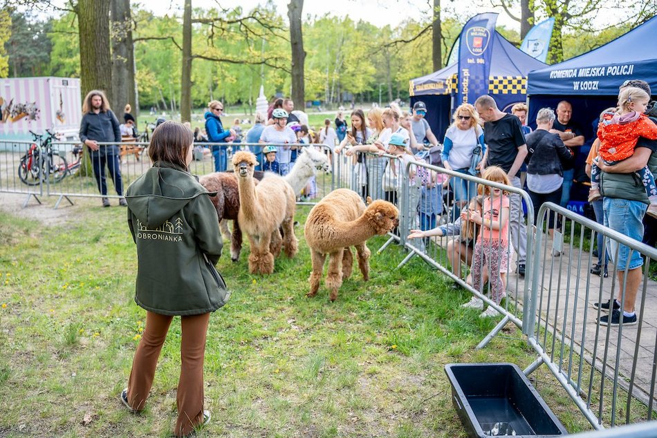 Łódź. Piknik w Arturówku. Łodzianie rozpoczęli majówkę 2025 nad wodą