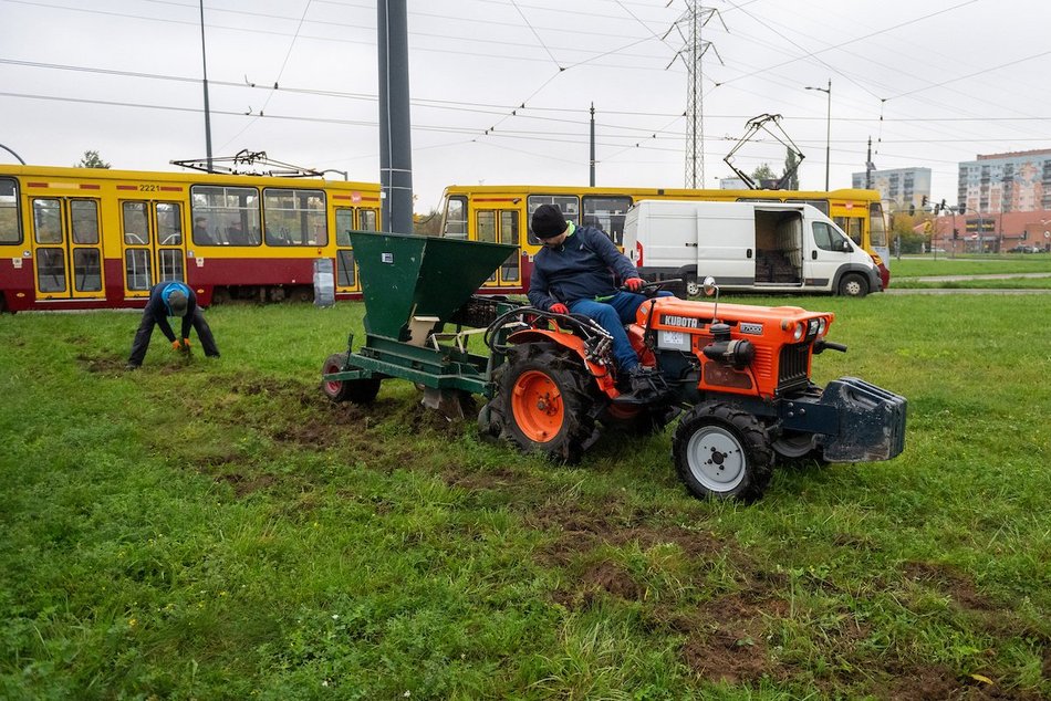 Łódź. Miasto rozkwitnie dzięki Budżetowi Obywatelskiemu Łódź