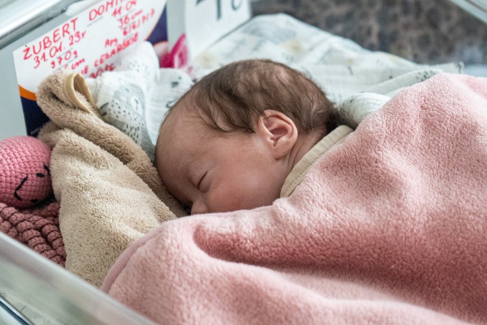 Dwoje z czworaczków nabiera jeszcze sił w Matce Polce